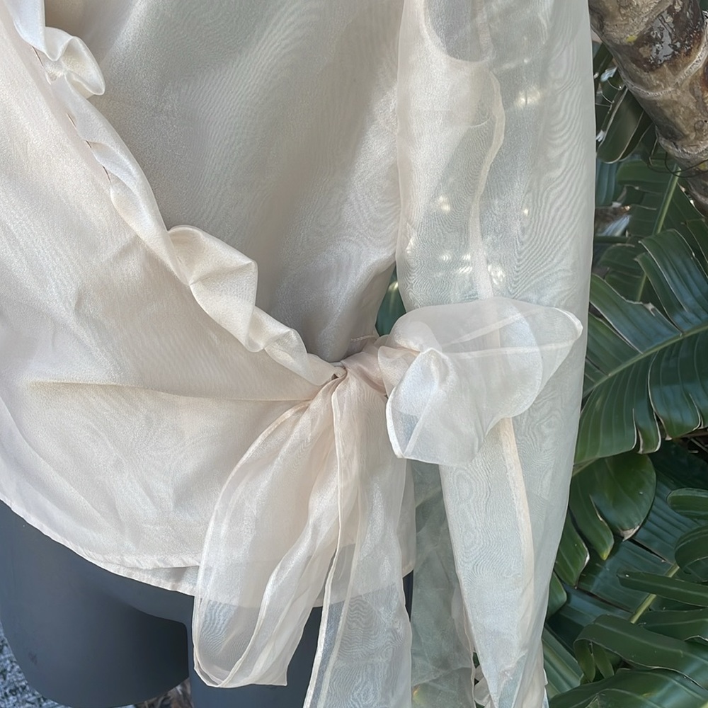 Vintage sheer  organza ruffled wrap top - Picture 4 of 7